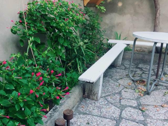 Family Guesthouse - Macharashvili ティビリシ エクステリア 写真